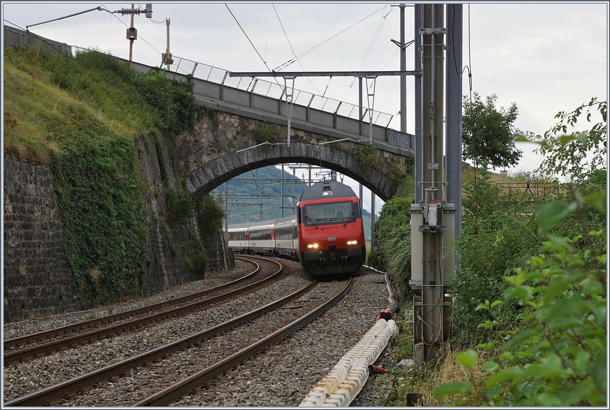 A SBB Re 460 with an IR 90 to Geneva Airport in Cully.

03.08.2020