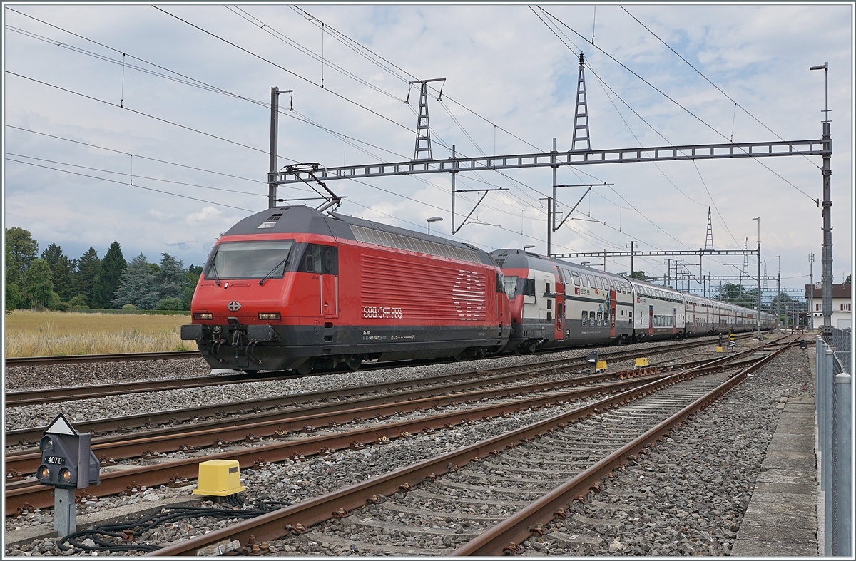 A SBB Re 460 with his IC1 from St Gallen to Geneva in Coppet.

28.06.2021