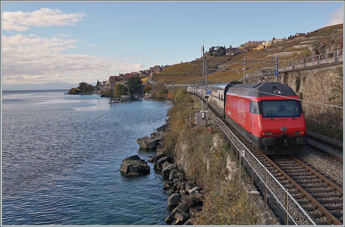 A SBB Re 460 with an IR90 on the way to Lausanne between St Saphorin and Rivaz. 

05.11.2021