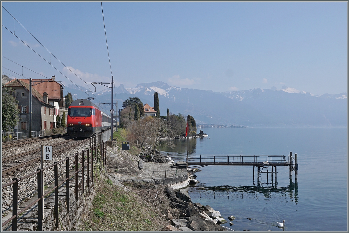 A SBB Re 460 with his IR 90 from Brig ot Geneva Airport by St Saphorin.

25.03.2022