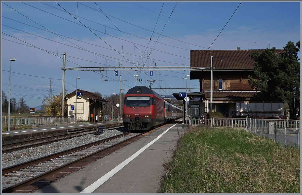 A SBB Re 460 with his IR 90 on the way to Brig in Roches VD. 

17.03.2020