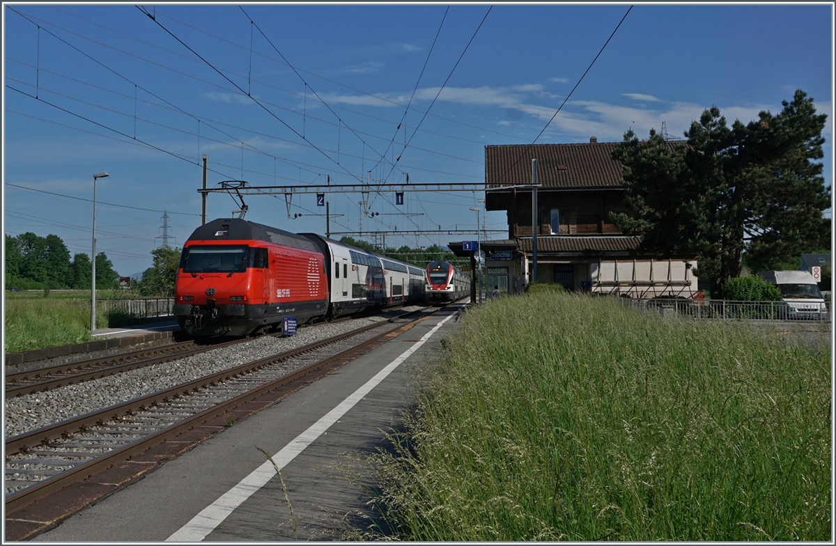 A SBB Re 460 with his IR 90 on the way to Geneva Airport and an SBB RABe 511 in Roches VD. 

12.05.2022