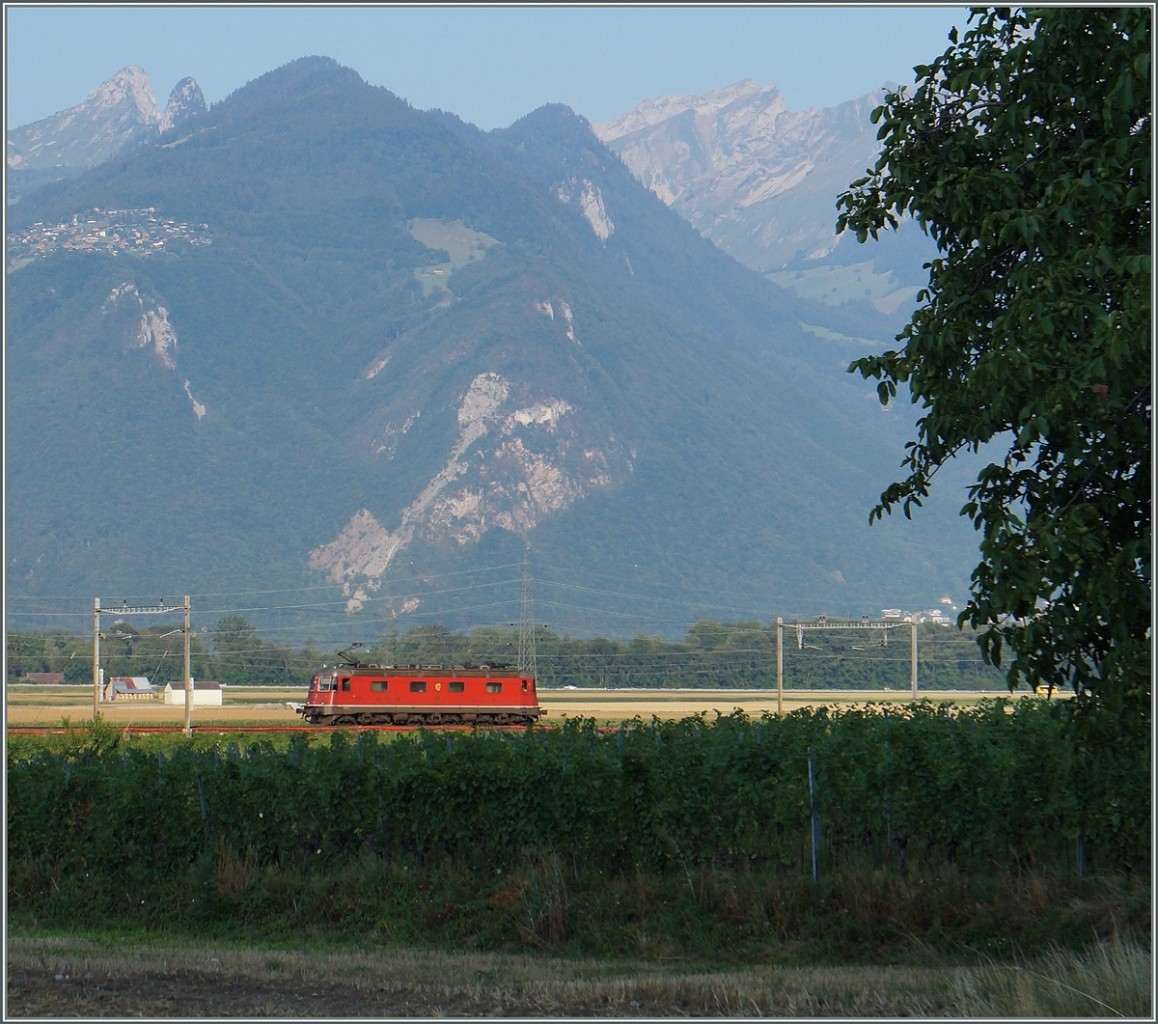 A SBB Re 66 between Aigle and Roches.
12.08.2015