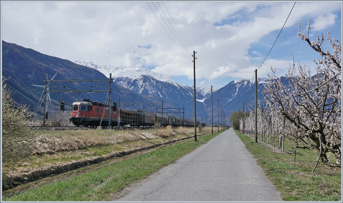 A SBB Re 6/6 with a Cargo train between Saxon and Charrat Fully.
04.04.2018