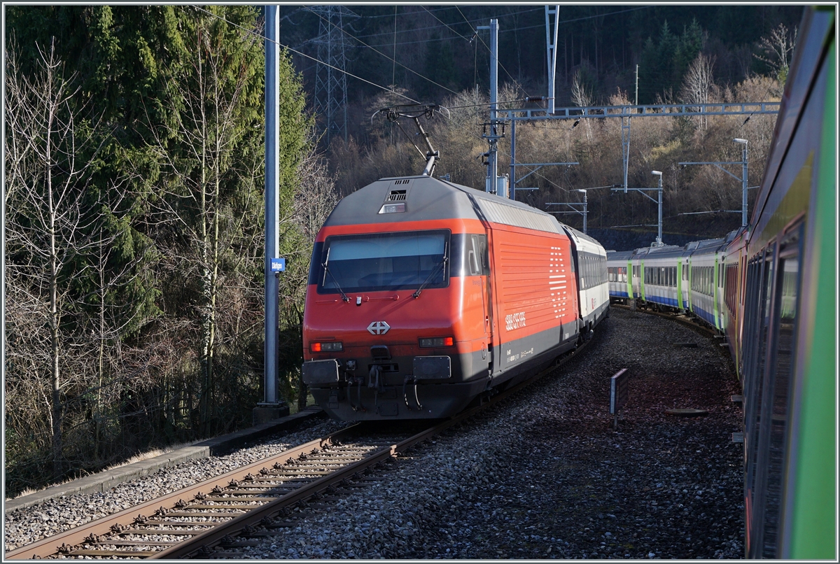 A SBB Re460 wiht his IC in Därlingen. 

17.02.2021 