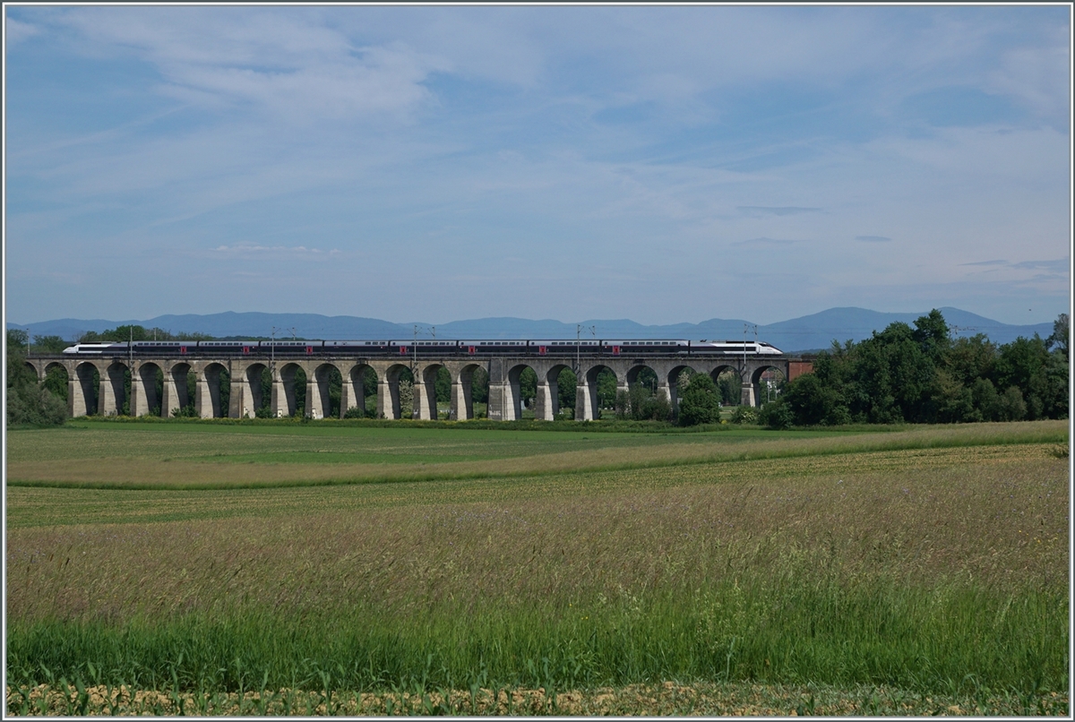 A SNCF inOui TGV on the way to Mulhouse by Dannemaie on the 490 meter long Viaduct de Dannemarie (bulid 1860-1862) 

19.05.2022