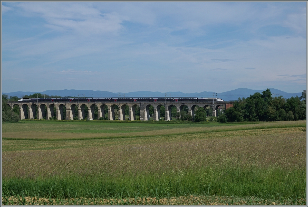 A SNCF inOui TGV on the way to Mulhouse by Dannemaie on the 490 meter long Viaduct de Dannemarie (bulid 1860-1862) 

19.05.2022