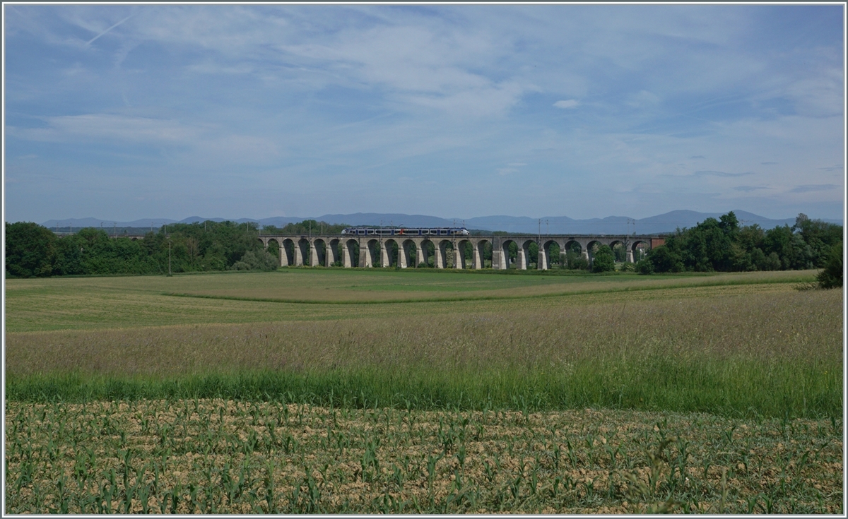 A SNCF Z 31500 M (Coradia Polyvalent régional tricourant) on the way to Belfort by Dannemaie on the 490 meter long Viaduct de Dannemarie (bulid 1860-1862) 

19.05.2022