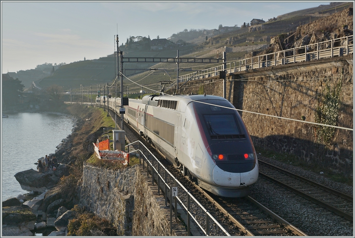 A TGV de neige (Snow-TGV) on the way to Paris by St Saphorin.
26.03.2016