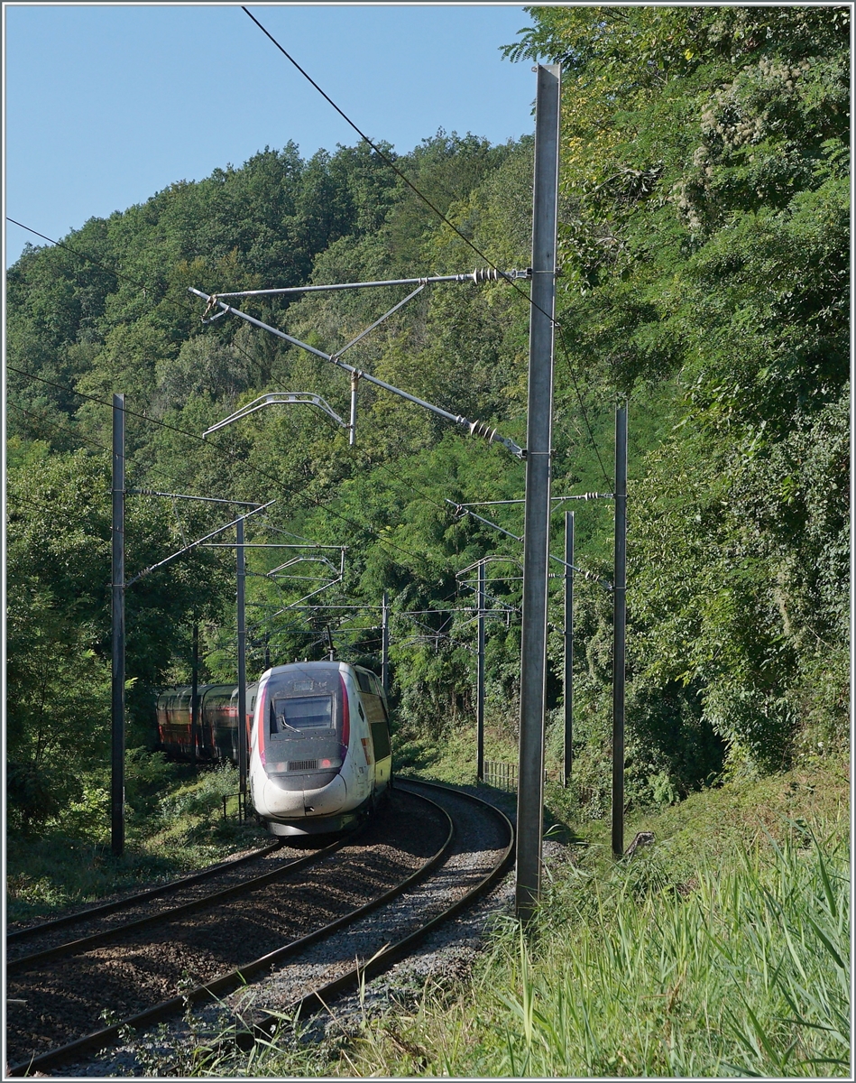 A TGV Lyria on the way from Geneva to Paris between La Plaine (CH) and Pougny-Chancy (F). 

06.09. 2021