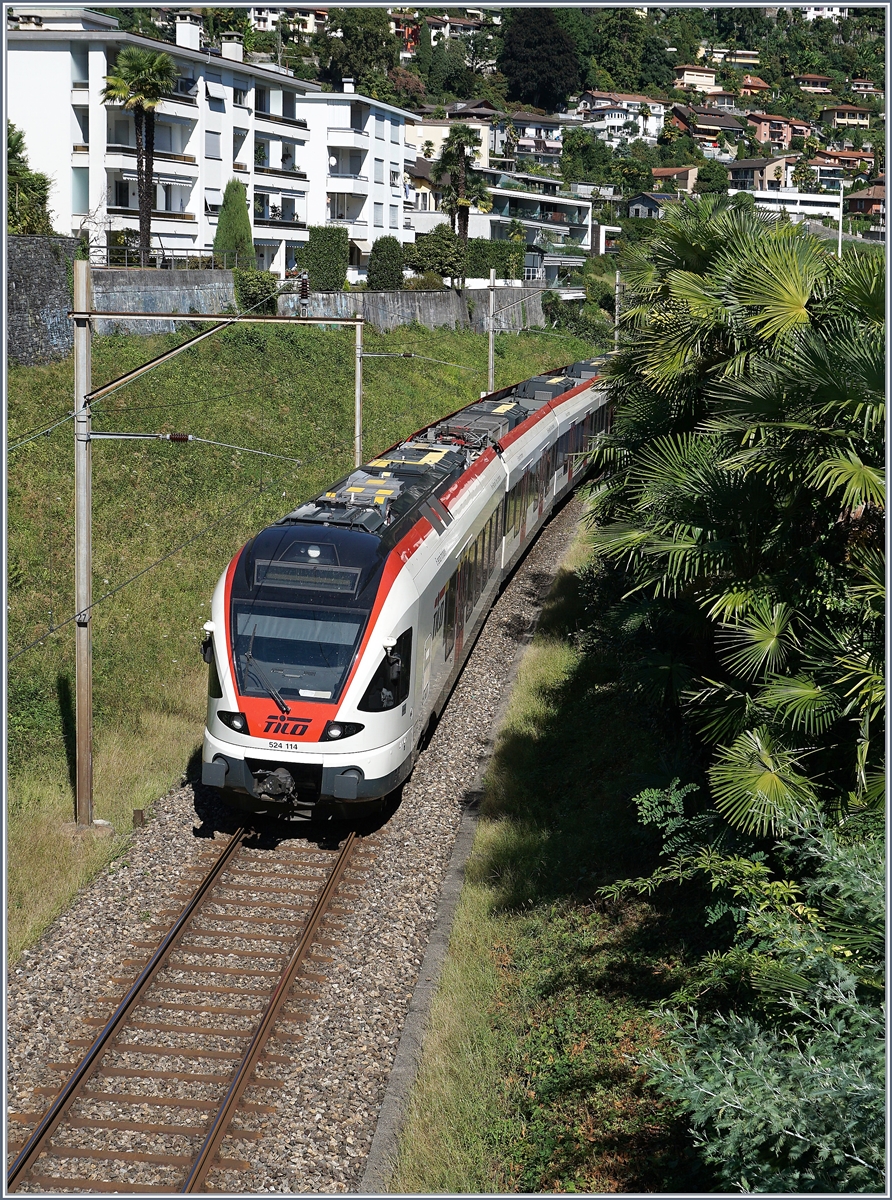 A TILO RABe 514 114 near Locarno.
19.09.2016