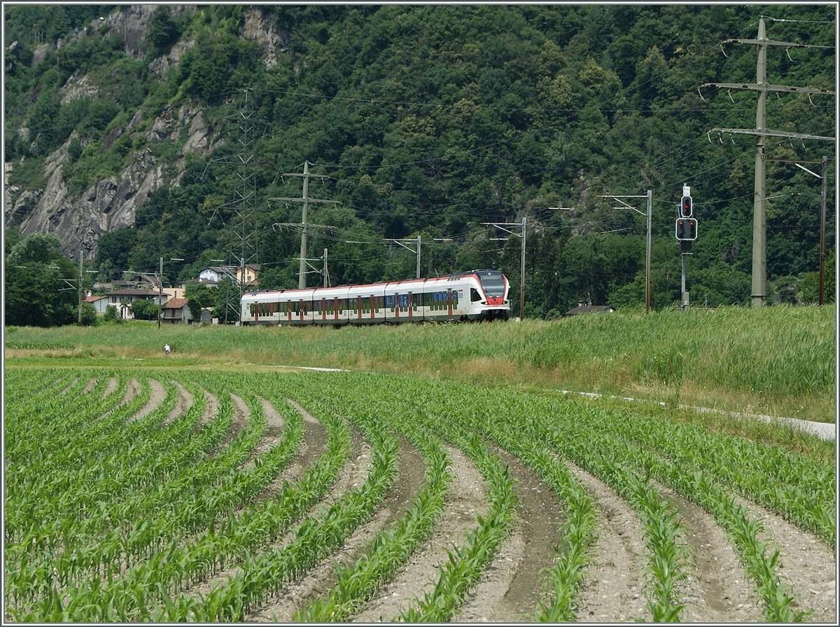 A Tilo RABE 524 near Riazzino on the way from Locarno to Bellinzona. 

21.06.2015