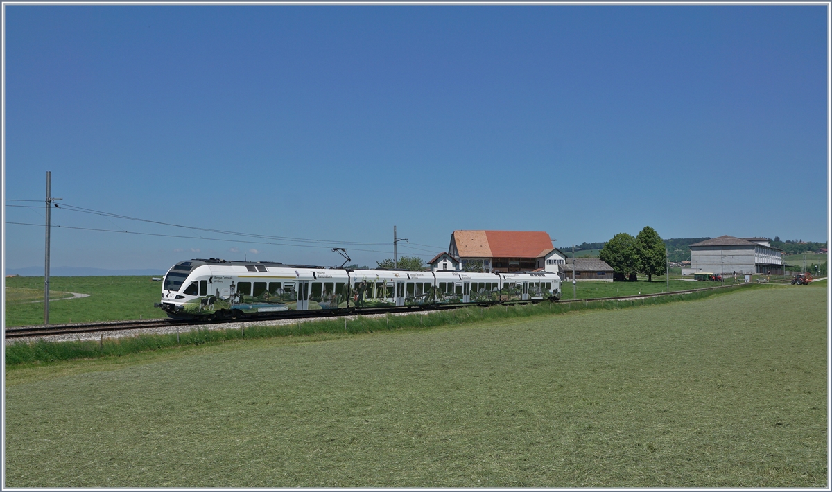 A TPF Flirt from Bulle to Fribourg near Sâles. 

19.05.2020