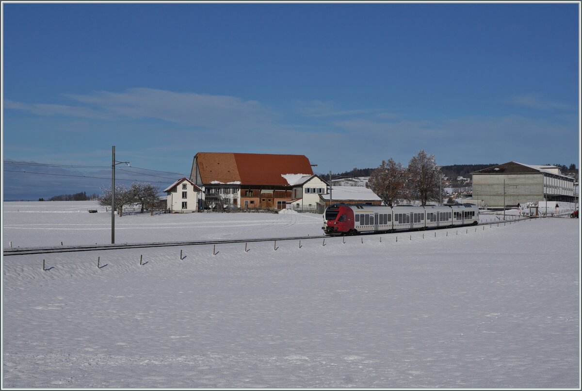 A tpf FLIRT RABe 527 on the way to Bulle between Sâles and Vaulruz. 

23.12.2021