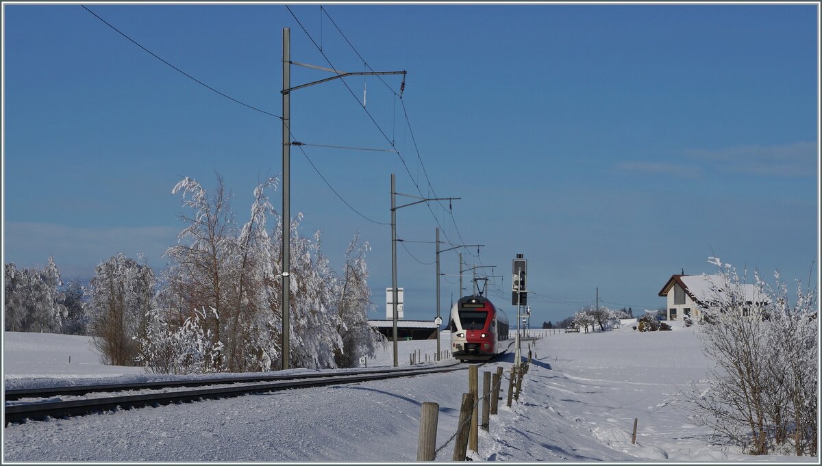 A tpf FLIRT RABe 527 on the way to Bulle between Sâles and Vaulruz. 

23.12.2021