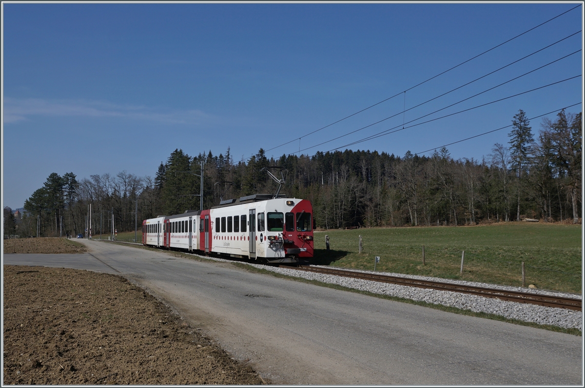 A TPF local train on the way to Broc Fabrique near La Tour-de-Trême. 

02.03.2021