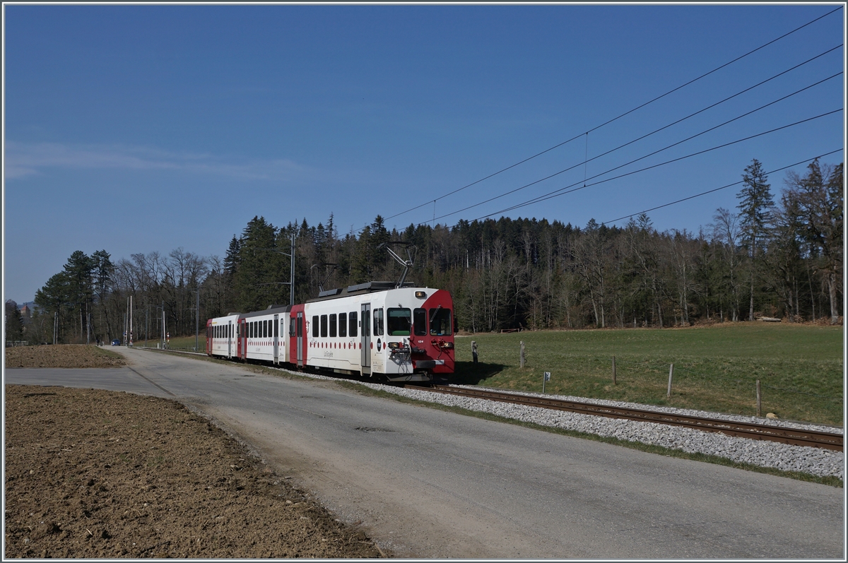 A TPF local train on the way to Broc Fabrique near La Tour-de-Trême. 

02.03.2021