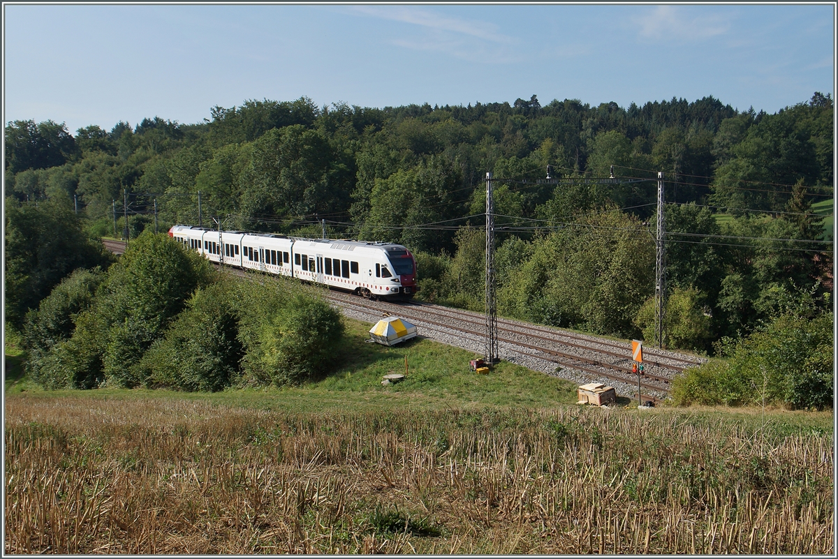 A TPF RABe 527 on the way to Fribourg between Neyruz and Rosé.
06.08.2015