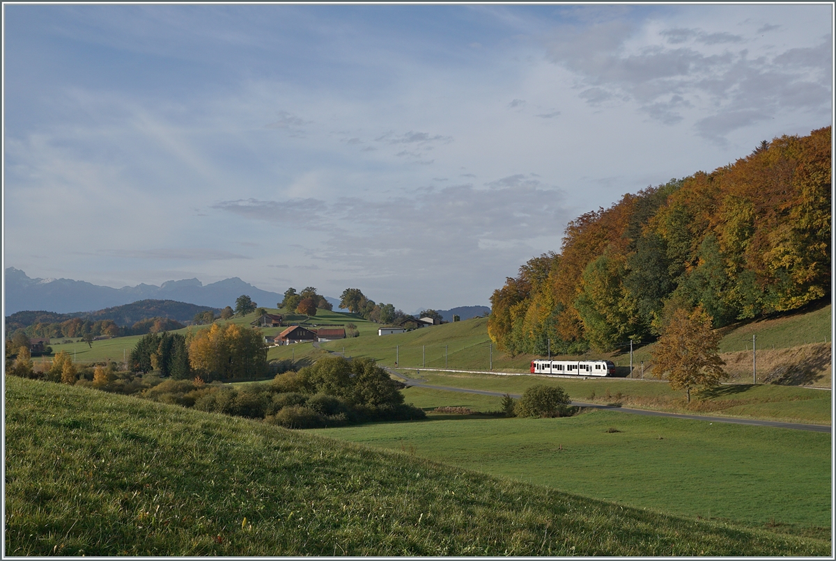 A TPF SURF between Châtel St Denis and Semsales.

22.10.2020