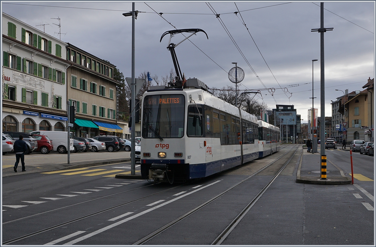 A tpg Tram in Chêne Bourg. 

15.12.2019