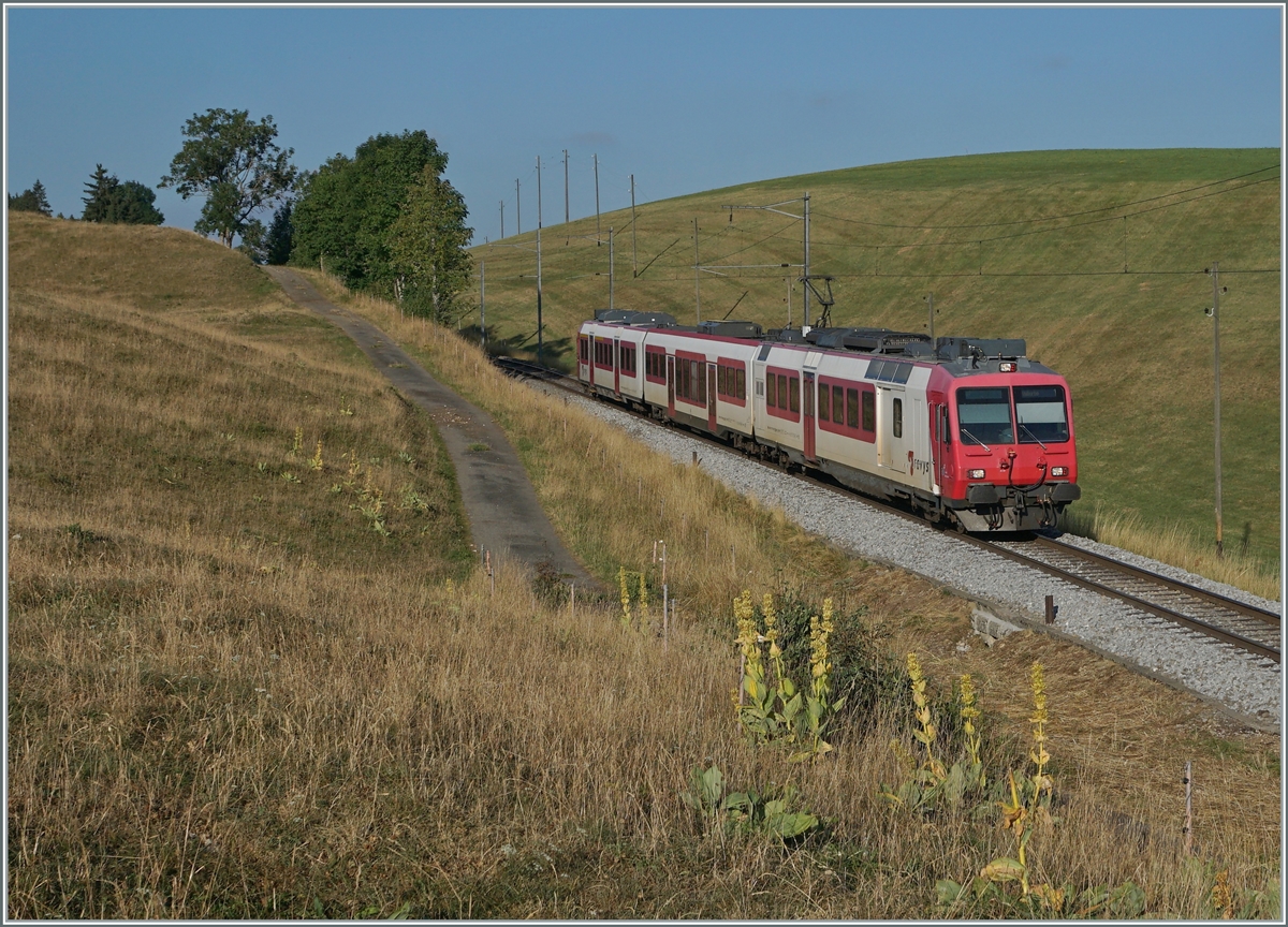 A TRAVYS RABDE 560 by Les Charbonières on the way to Vallober. 

21.07.2022