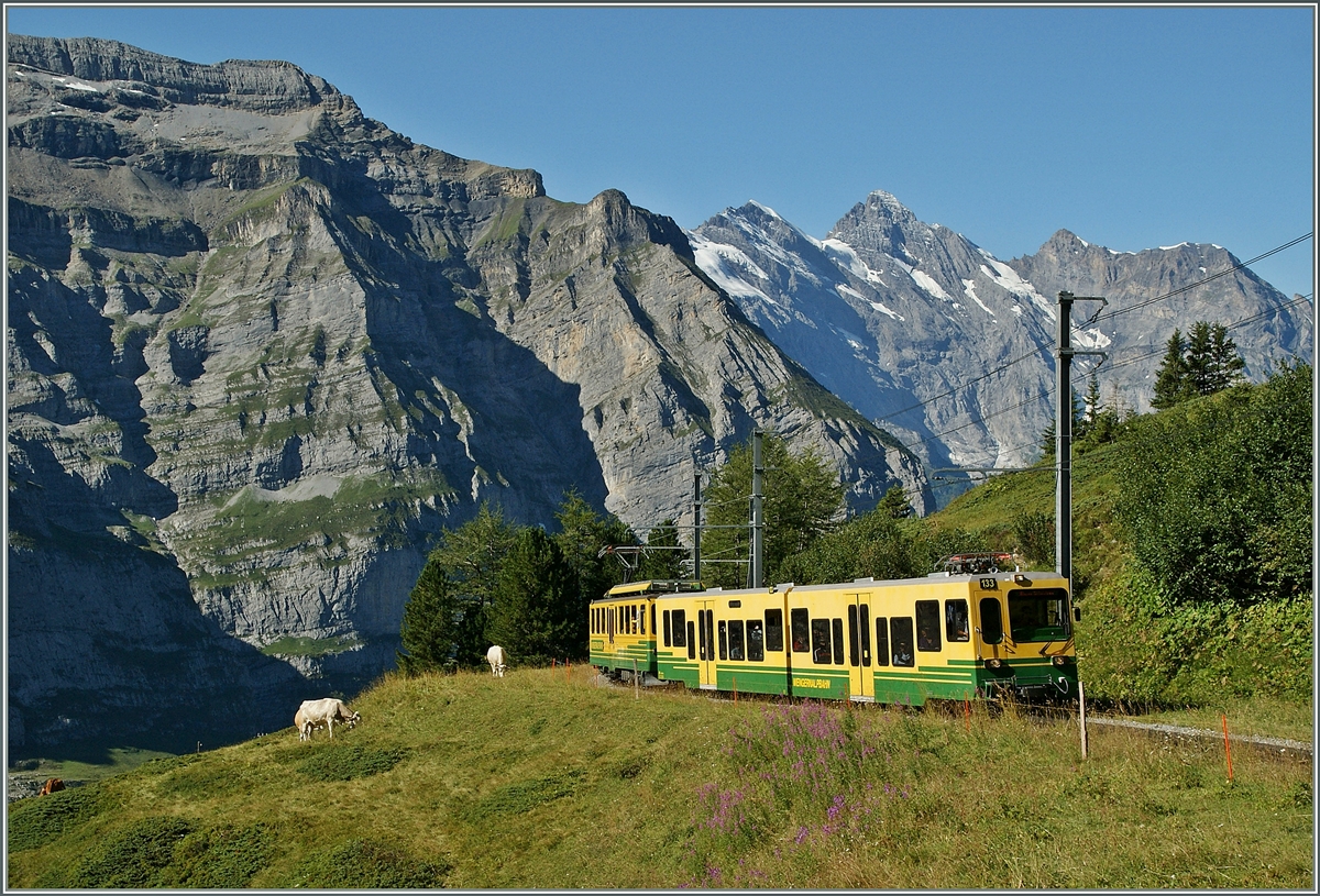 A WAB local train between Wengeneralp and Kleine Scheidegg.
21.08.2013 