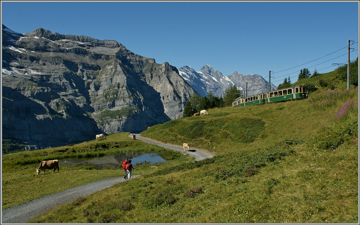 A WAB Service between the Wengeralp and the Kleine Scheidegg.
21.08.2013