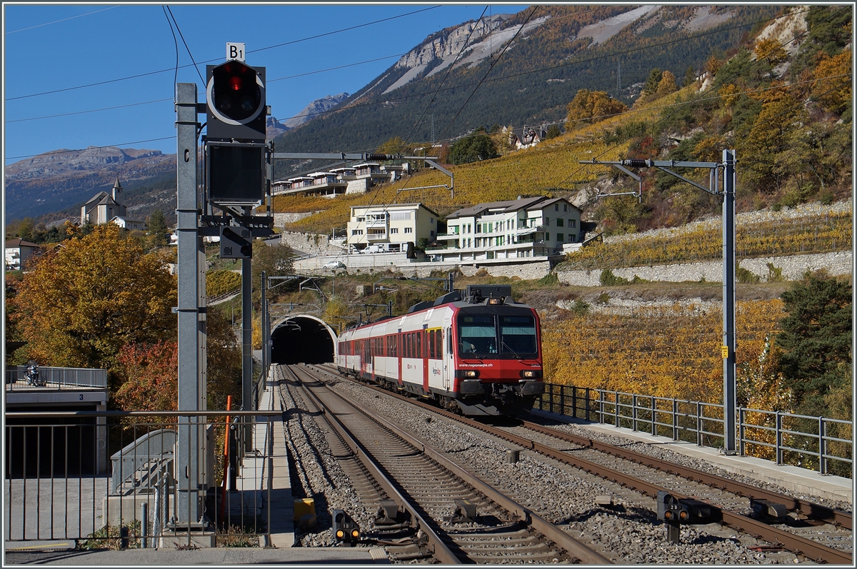 A  Walliser  Domino by Leuk. 
26.10.2015