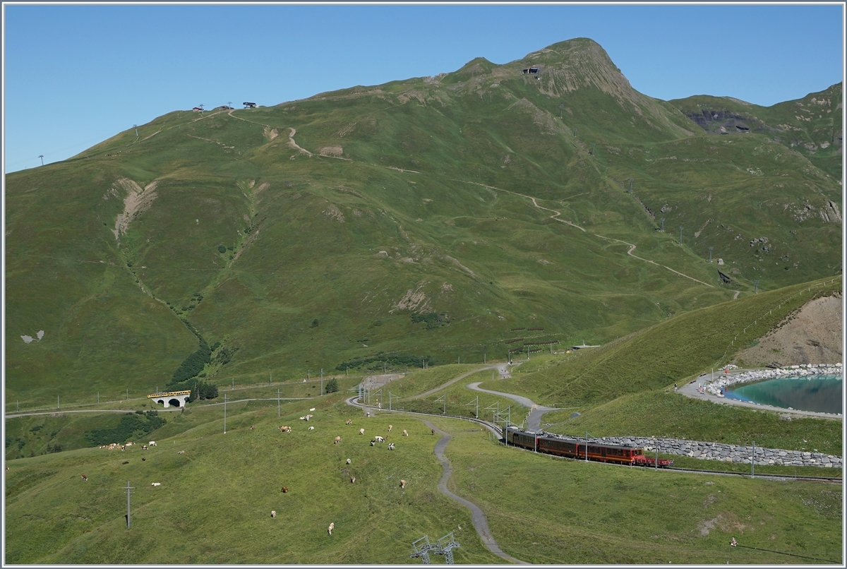 A Wengeneralpban (WAB) and Jungfraubahn JB train are leaving the Kleine Scheidegg.
08.08.2016