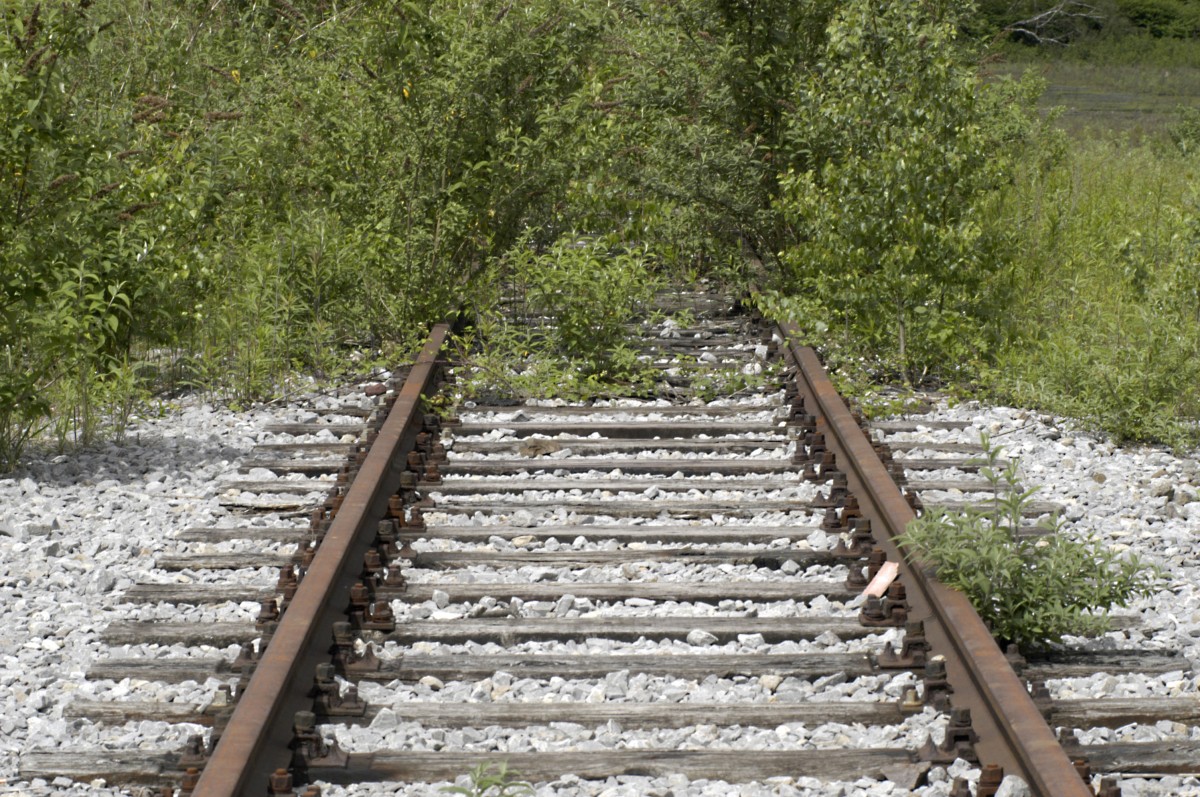 Abandoned track at the Zeche Zollverein in Essen (Germany). Date: 19. may 2007.