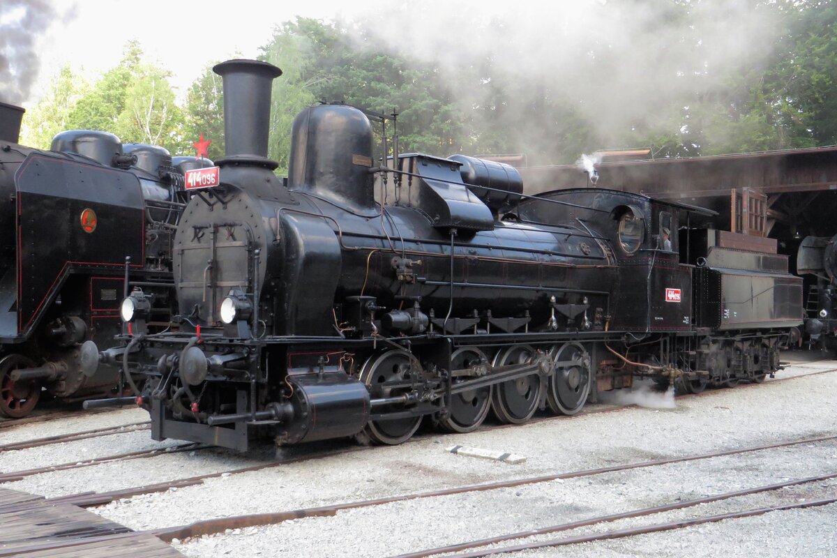 After her first steam shuttle train, 414 096 eases a bit at the loco shed of the CD railway museum in Luzna u Rakovnika.