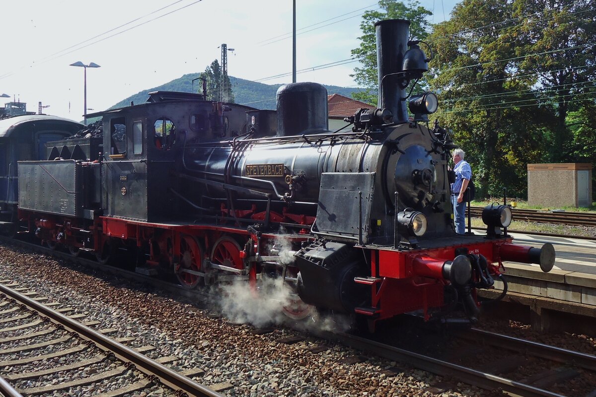 Against them light and in her shadow, SPEYERBACH stands in Neustadt (Weinstrasse) on 31 May 2014 during the Dampfspektakel Rhineland-palatinate. 