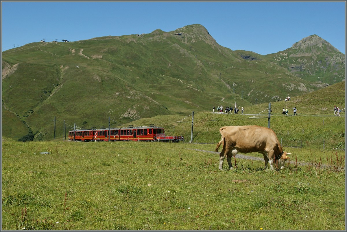 An Jungfraubahn-train between Kleine Scheidegg and Eigergletscher. 
21.08.2013