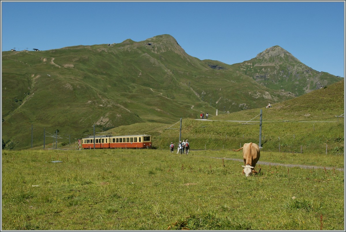 An Jungfraubahn-train between Kleine Scheidegg and Eigergletscher. 
21.08.2013