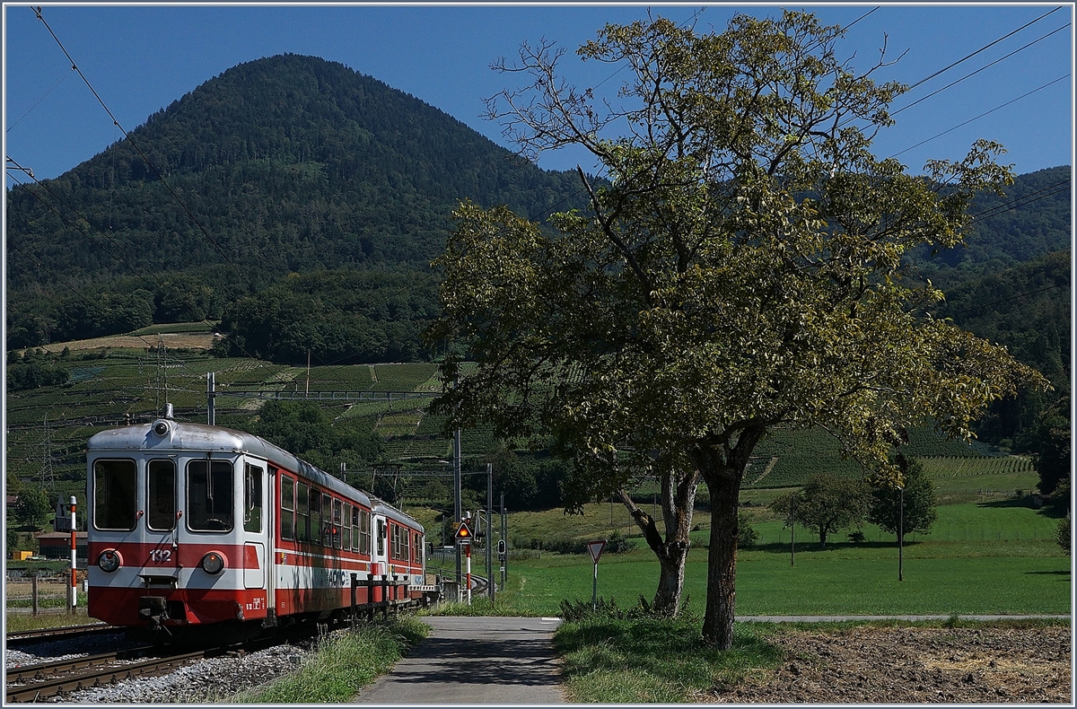 AOMC BDe 4/4 102 an Bt 132 by Villy on the way to Aigle.
26.08.2016