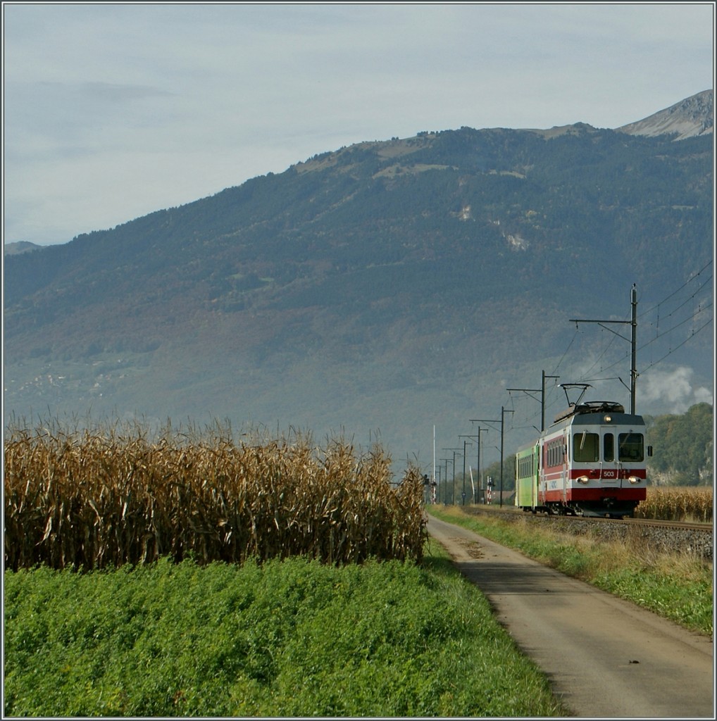 AOMC local train by Villy.
25.10.2013