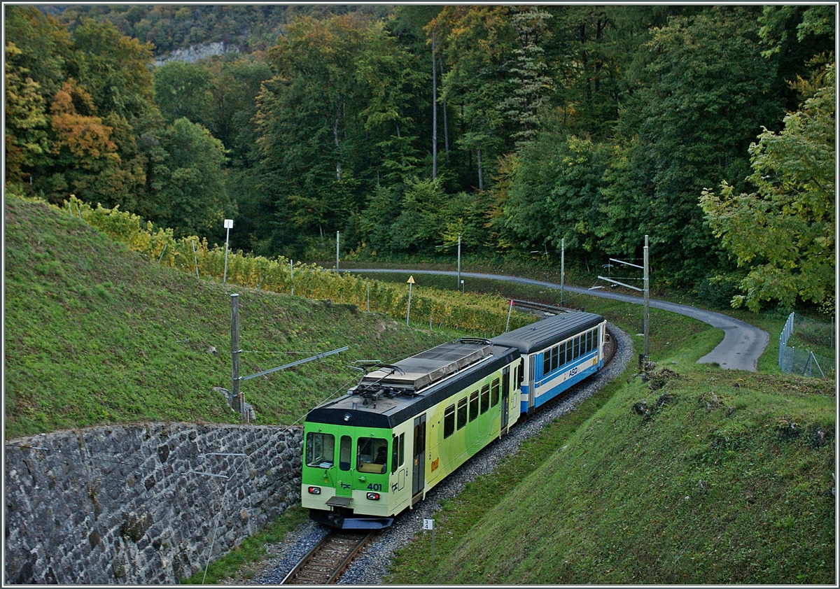 ASD local Train by Verchize. 
18.10.2011