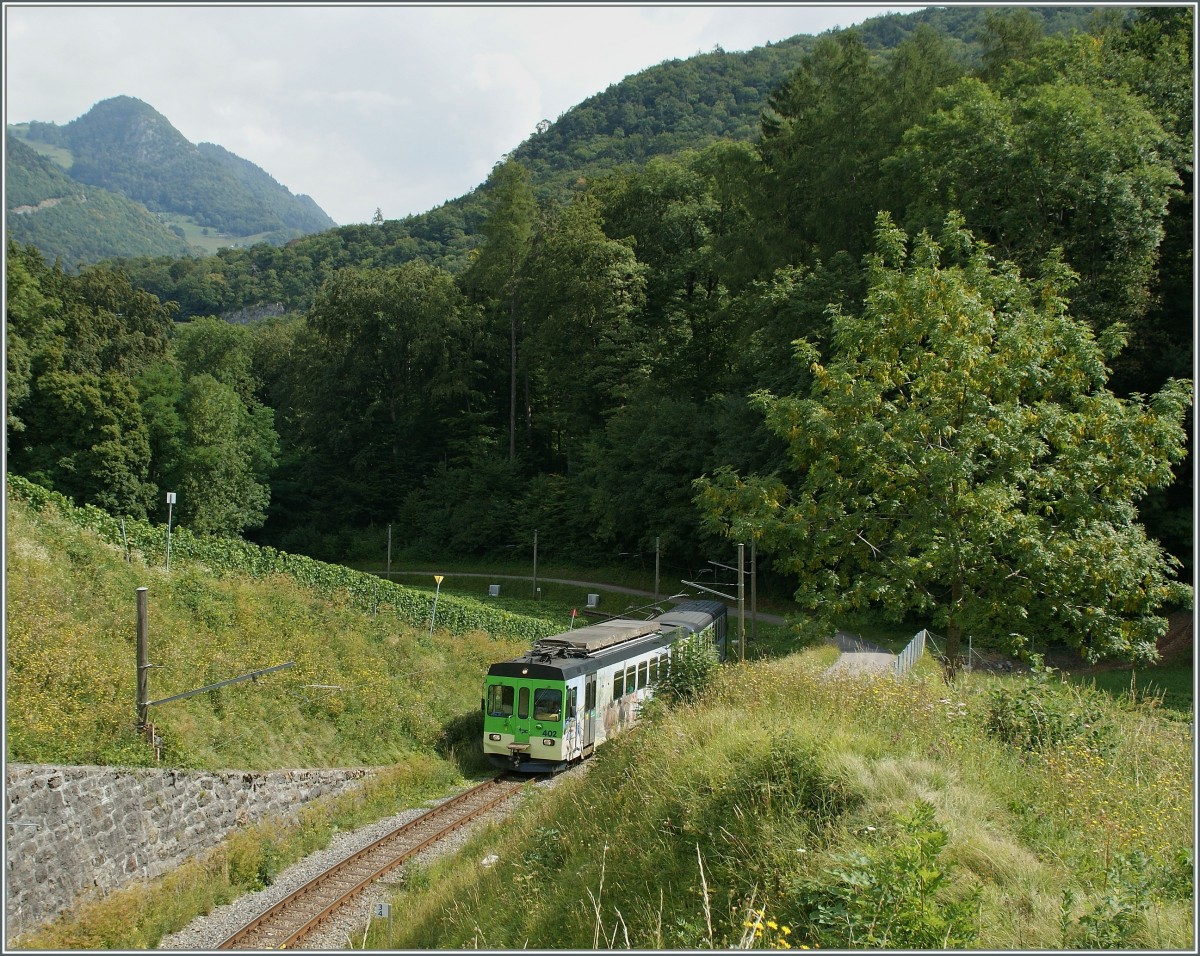 ASD local Train to Les Diablerets near Verchiez.
27. 08.2013