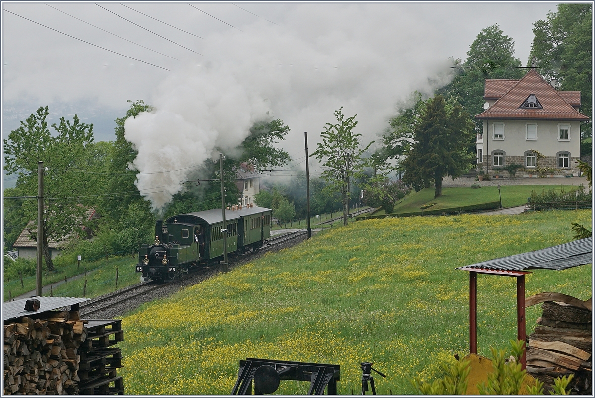 B-C Mega Steam Festival: The LEB G 3/3 by Chaulin.
10.05.2018