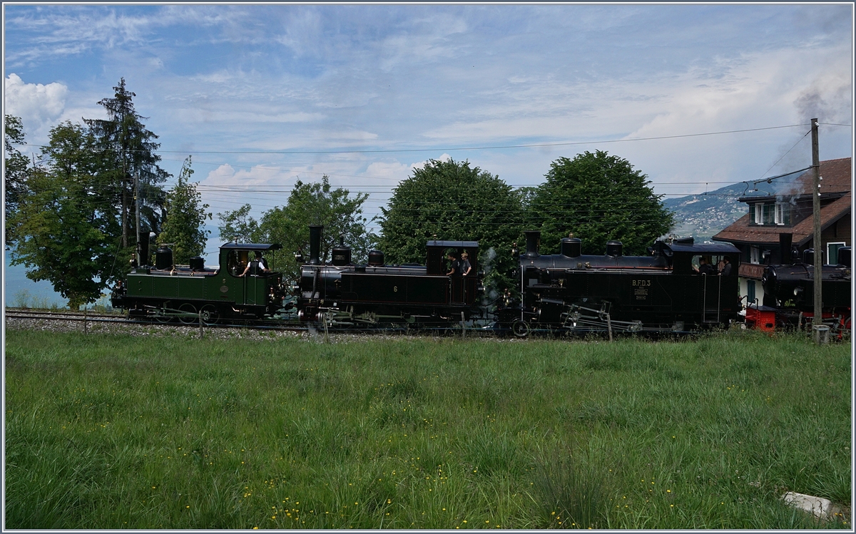 B-C steamer by Conraux: The LEB G 3/3 N° 5, the JS / BAM G 3/3 909 / 6 and the BFD HG 3/4 N° 3.
03.06.2017