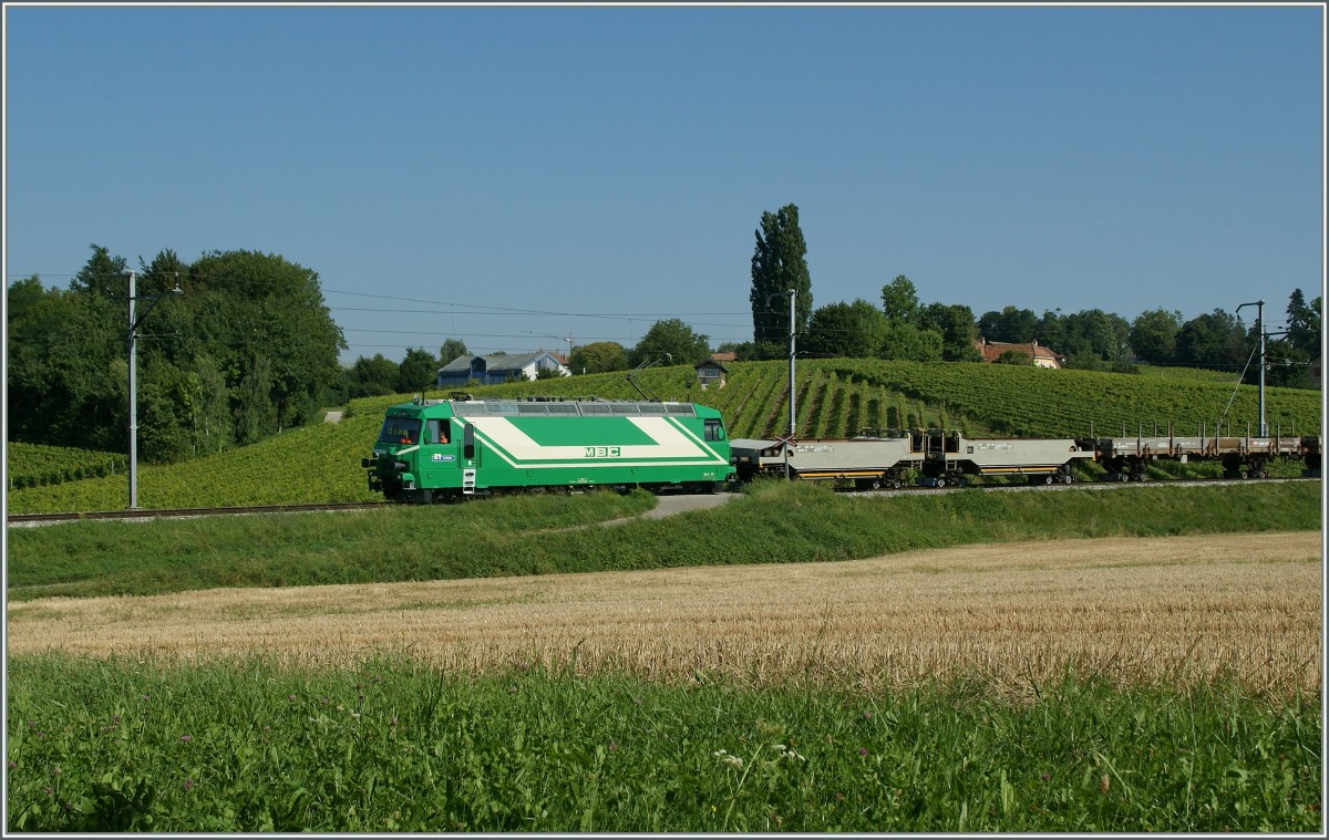 BAM cargo Train by Vufflens le Chteau.
15.08.2013 