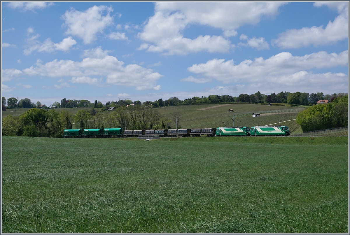 BAM Ge 4/4 21 and 22 with a Cargo train by Vufflens le Château.
09.05.2017