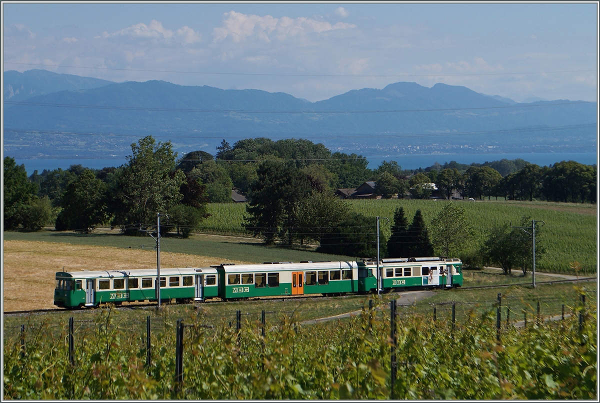 BAM local train near Vufflens-le-Château.
16.06.2014 
