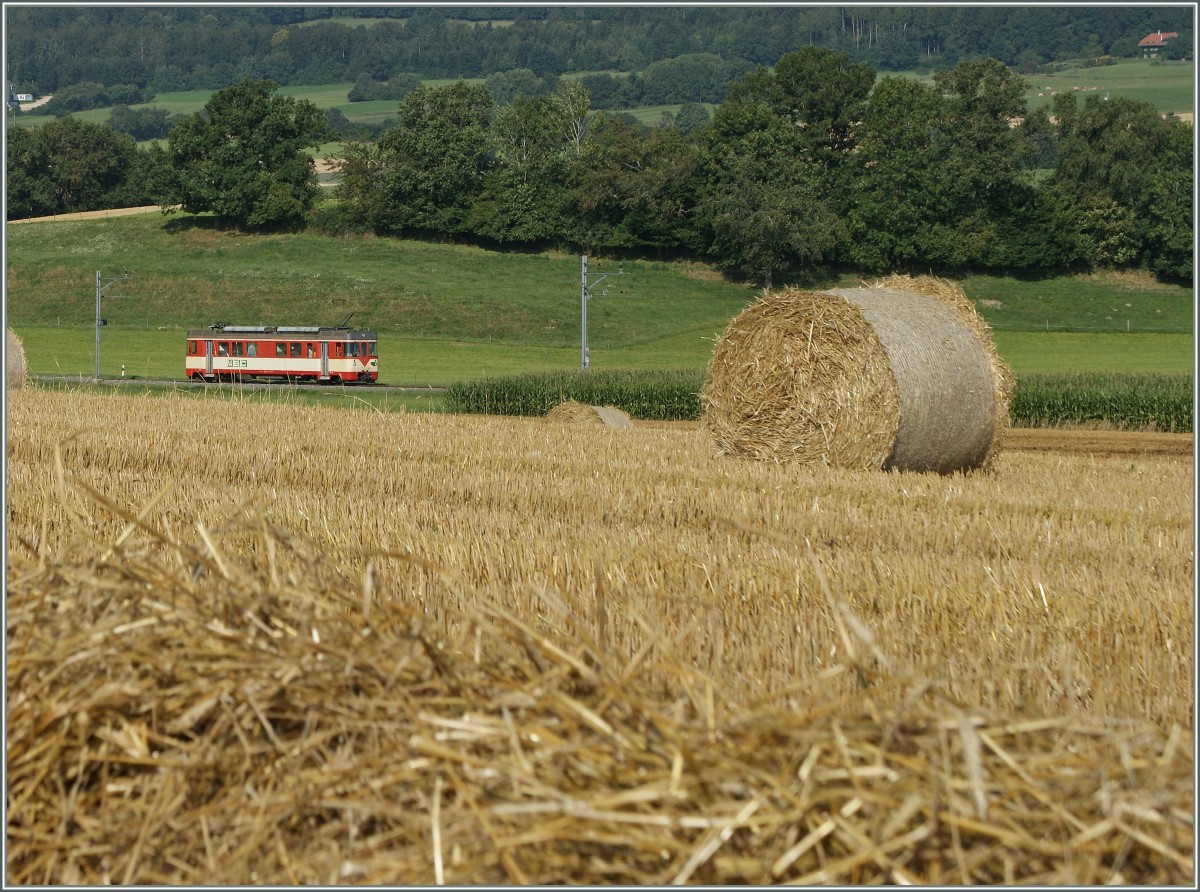 BAM local Train on the way to Apples by Villars-Bonzon.
15.08.2013