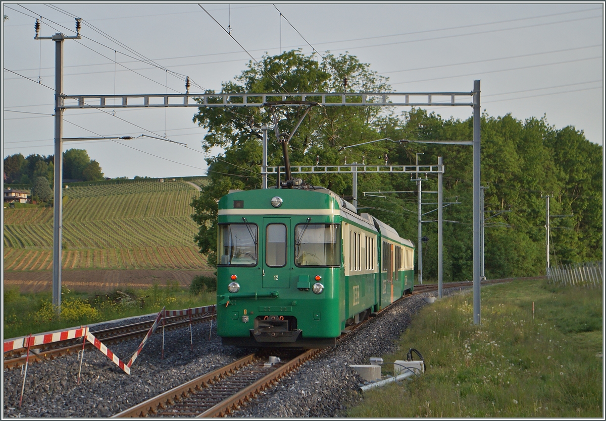 BAM locla train by Chigny.
12.05.2015