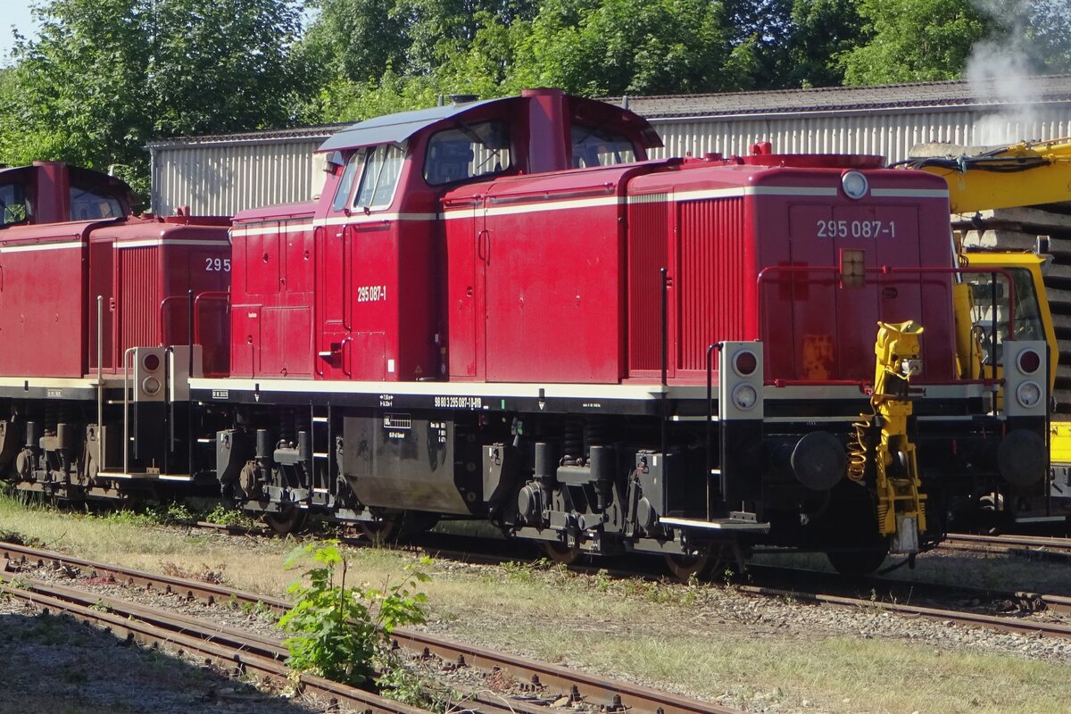 Bayernbahn 295 087 shows her auto-coupler at Nördlingen on 1 June 2019.