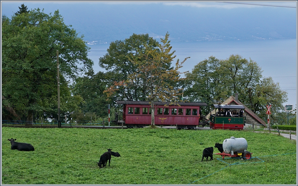 Belle Epoque - Weekend by the Blonay-Chamby! A smal steamer train on the way to Blonay by Chaulin.
17.09.2017