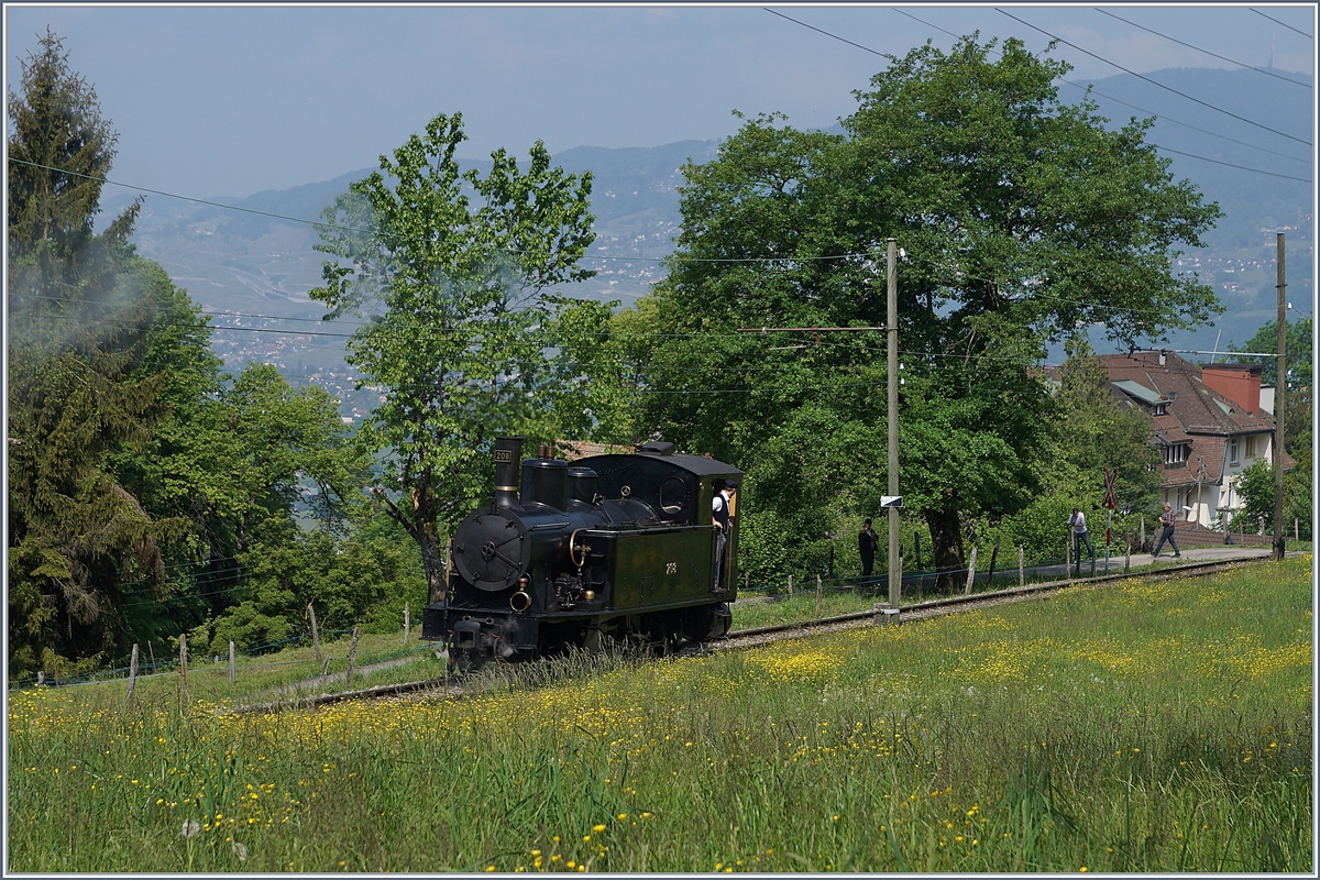 Blonay Chamby Mega Steam Festival: The SBB G 3/4 208 (Ballenberg Dampfbahn) by Chaulin by the Blonay Chamby Railway on the way to Blonay.
19.05.2018