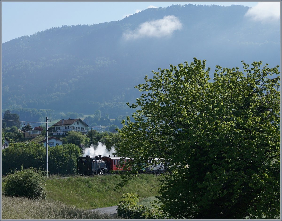 Blonay Chamby Mega Steam Festival: The HG 3/4 N° 3 with a Riviera Belle Epoque Servie to Vevey near Hauteville. 20.05.2018