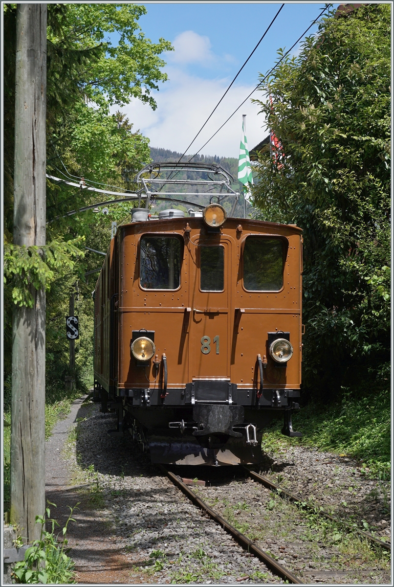 Blonay Chamby Nostalgie & Steam 2021: The Blonay-Chamby RhB Ge 4/4 81 in Chaulin. 

22.05.2021